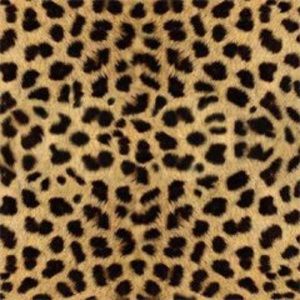 🚫🚫FOR TRADE ONLY🚫🚫